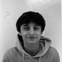 Martin profile