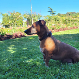 Winnie profile