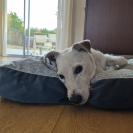 Heidie profile