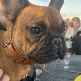 Raka profile