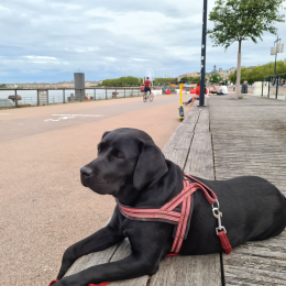Jude profile