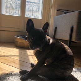 Layla profile