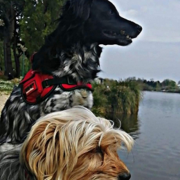 Mouky et poupette profile