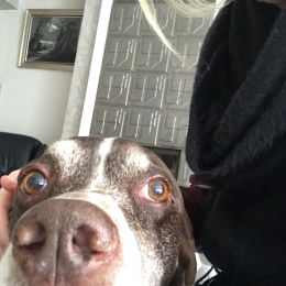 Elodie profile