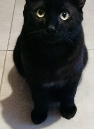 Carole profile