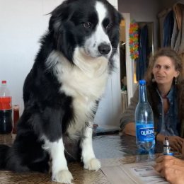 Pims et skunky profile