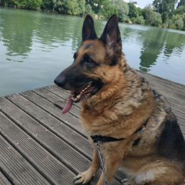 Lexie profile