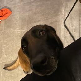 Otis profile