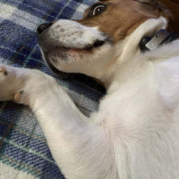 Pierre-marie profile