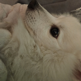 Kenny profile