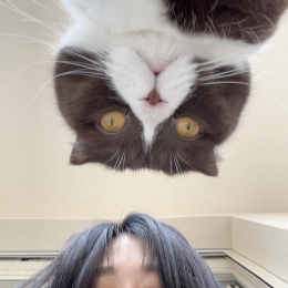 Hana profile