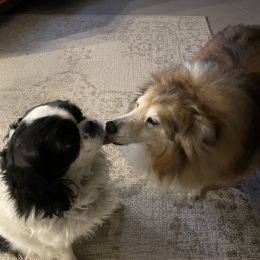 June et gribouille profile