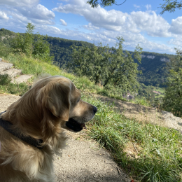 Olly profile