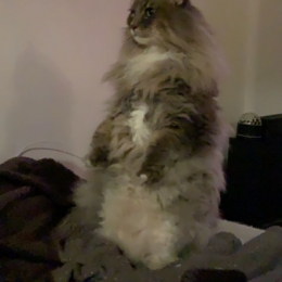 Margaux profile