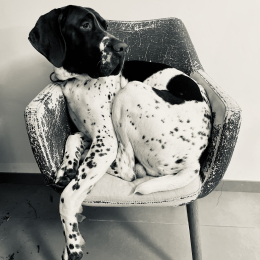 Cooper profile