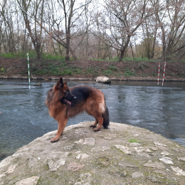 Opale profile