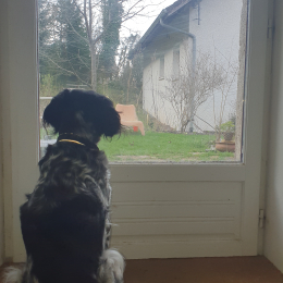 Helfy profile