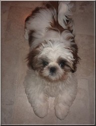 Ilan profile