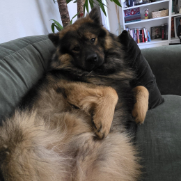 Edgar profile
