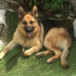 Maé  profile
