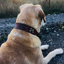 Zoé profile