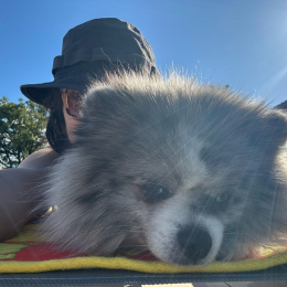 Pablo profile