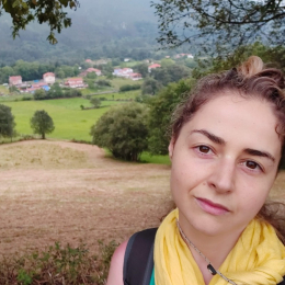 Valle profile
