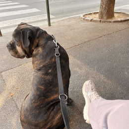 Malko profile