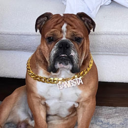 Scarlucci@petram-fo.com profile