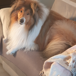 Billy-pucci-mimi profile