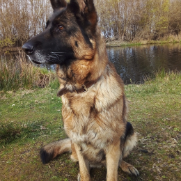 Georges profile