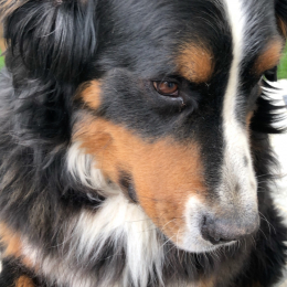 Isaack profile