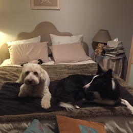 Minnie et milou profile