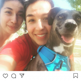 Kenya profile