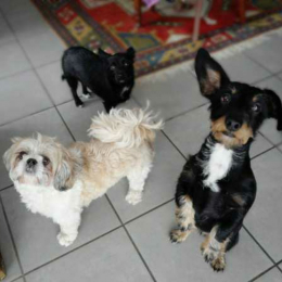 Iana, cannelle, bisous profile