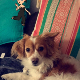 Lilou profile