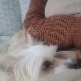 Obelix et vanille profile