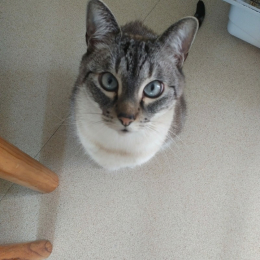 Zakia profile