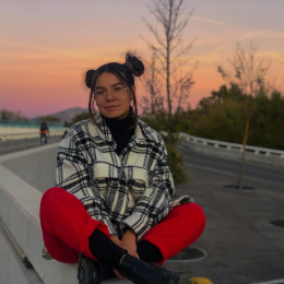 Laura valentina profile