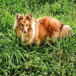 Uguette profile