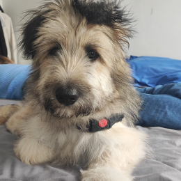 Marley profile