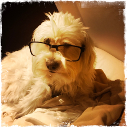 Nube (noubé) profile