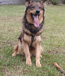 Pouf profile