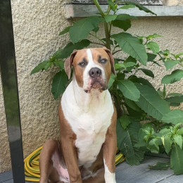 Eros profile