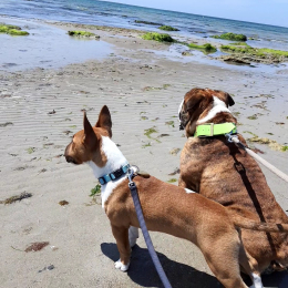 Eros et morphée profile