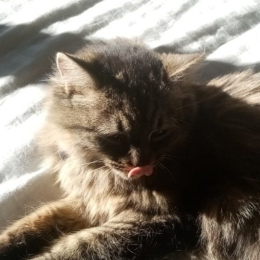 Mélène profile