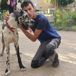 Théo profile