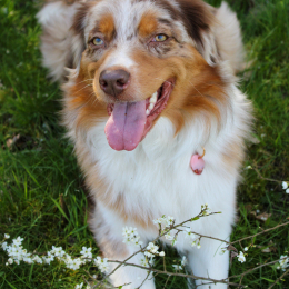 Estelle profile