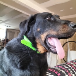 Sidger profile