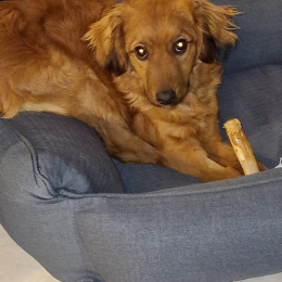 Nutsy profile